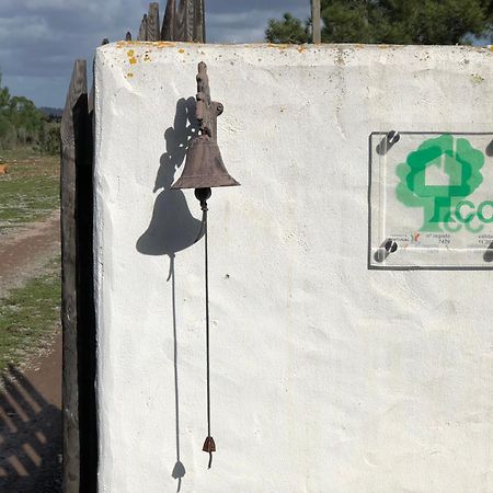 Quinta das Beldroegas - Casas de Campo São Teotónio Exterior foto