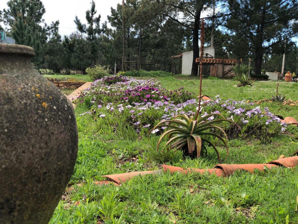 Quinta das Beldroegas - Casas de Campo São Teotónio Exterior foto