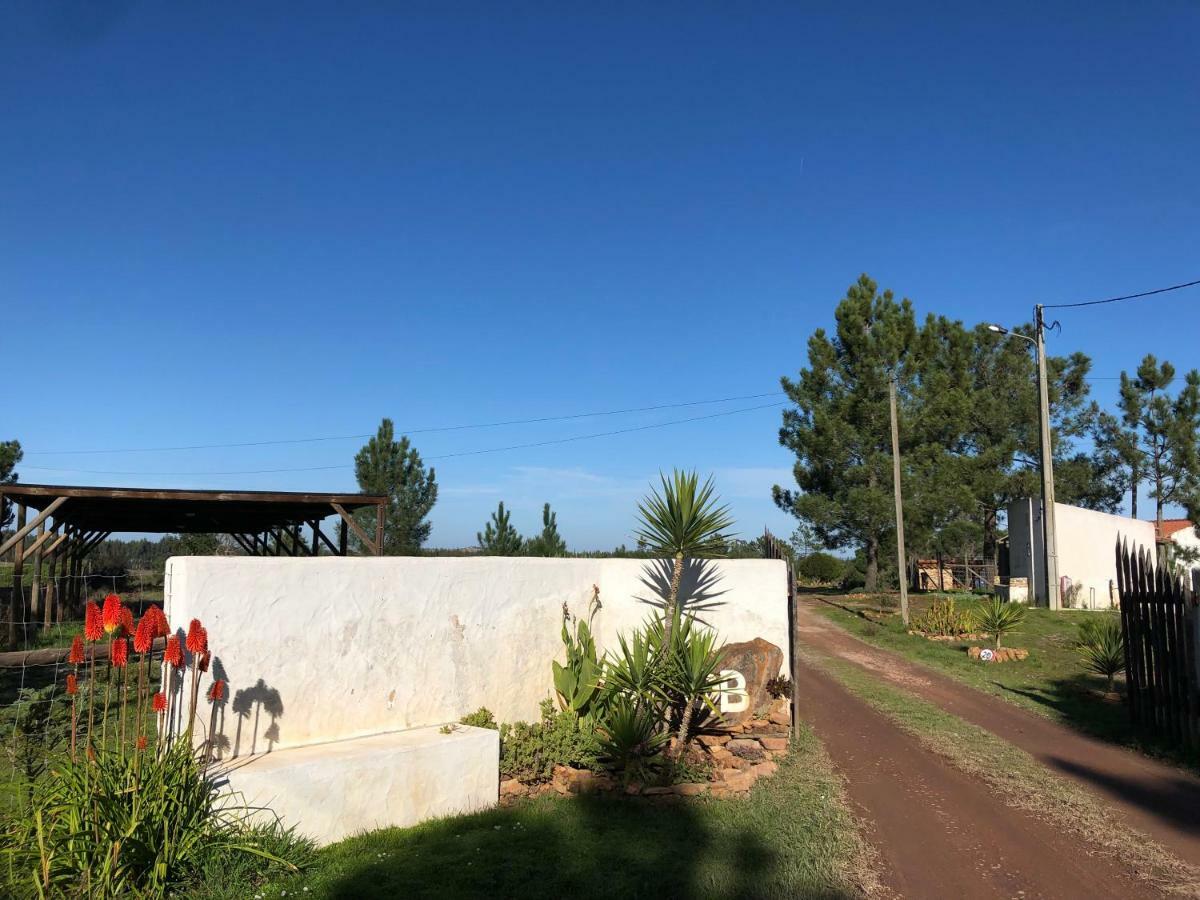 Quinta das Beldroegas - Casas de Campo São Teotónio Exterior foto